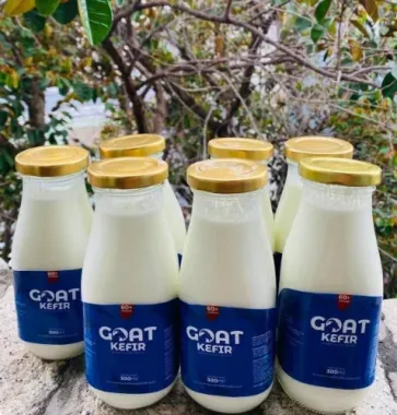 Goat Kefir S